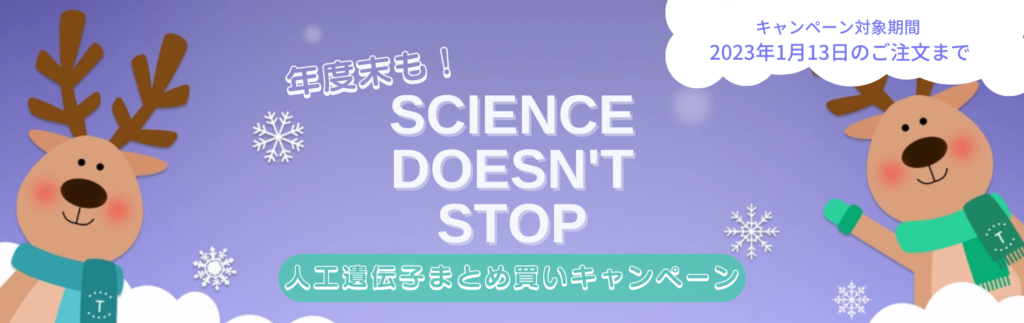 1_Yokohama-web_Landing_Banner_Winter_Campaign_20221121